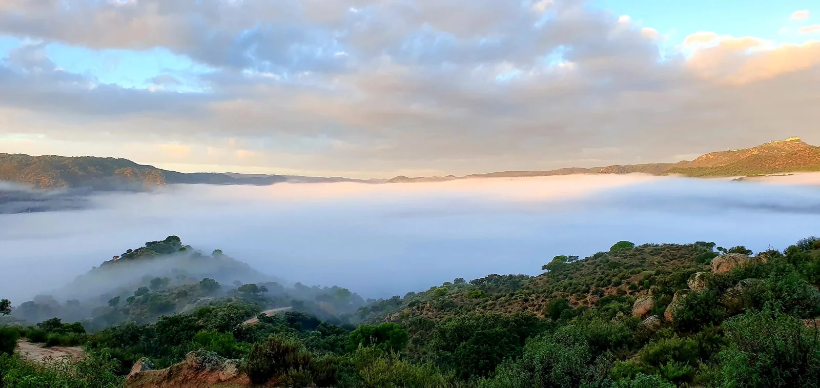 Dawn mist over the Sierra de Andujar
