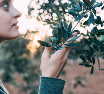 portrait-charming-lady-summer-resort-outfit-posing-olive-tree