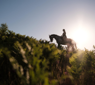 silhouette-woman-rider-horseback-climbing-hill-covered-with-fern